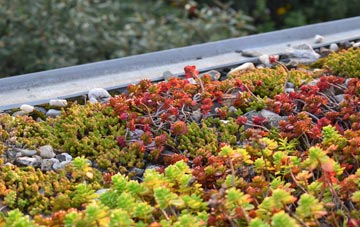 the cost of Sraid Ruadh green roof installation