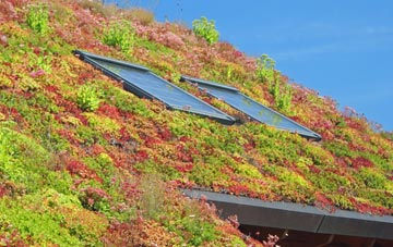 Sraid Ruadh living roof systems